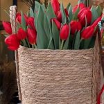 tulipani