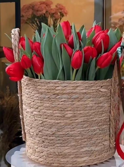 tulipani